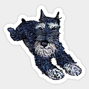 Funny miniature schnauzer, cute puppy face Sticker